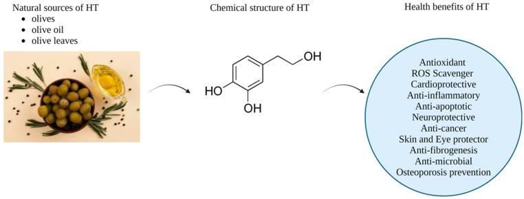 https://cdn.ncbi.nlm.nih.gov/pmc/blobs/8b69/11728517/35a9c05de848/pharmaceutics-16-01504-g001.jpg