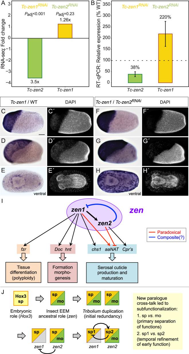 https://cdn.ncbi.nlm.nih.gov/pmc/blobs/8b69/7536231/c8aface78585/42003_2020_1250_Fig6_HTML.jpg