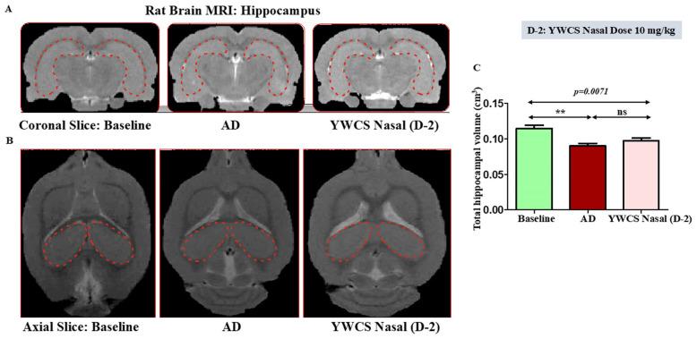 https://cdn.ncbi.nlm.nih.gov/pmc/blobs/8b6a/12249324/3517e871c761/cells-14-00957-g002.jpg