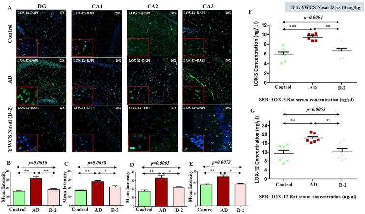 https://cdn.ncbi.nlm.nih.gov/pmc/blobs/8b6a/12249324/3bb9ec1015c7/cells-14-00957-g008.jpg
