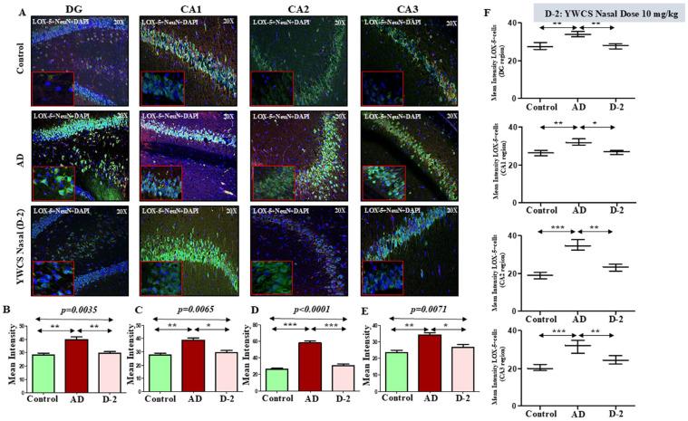 https://cdn.ncbi.nlm.nih.gov/pmc/blobs/8b6a/12249324/e29198f6e341/cells-14-00957-g007.jpg