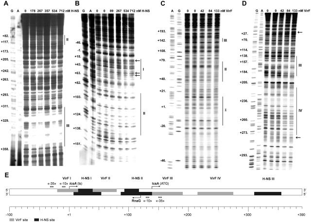 https://cdn.ncbi.nlm.nih.gov/pmc/blobs/8b6c/3185424/6ac38760798d/gkr521f1.jpg
