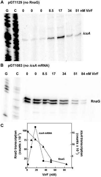 https://cdn.ncbi.nlm.nih.gov/pmc/blobs/8b6c/3185424/c1c84a6e594d/gkr521f3.jpg