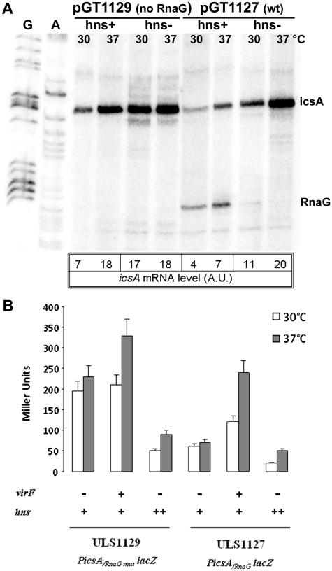 https://cdn.ncbi.nlm.nih.gov/pmc/blobs/8b6c/3185424/ce21005f7f80/gkr521f4.jpg