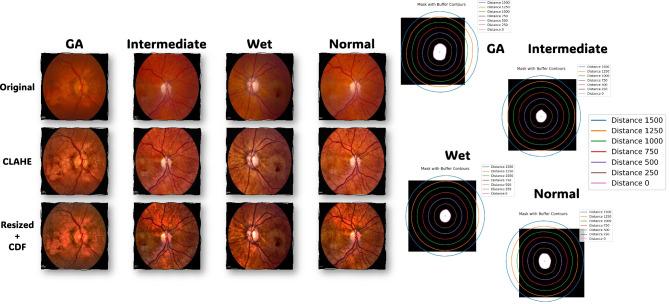 https://cdn.ncbi.nlm.nih.gov/pmc/blobs/8b73/10825213/8688394e18b6/41598_2024_52131_Fig2_HTML.jpg