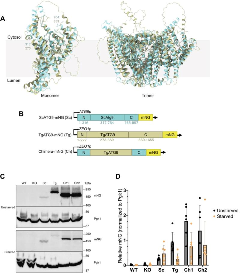 https://cdn.ncbi.nlm.nih.gov/pmc/blobs/8b73/11864645/1e6e296552b9/KAUO_A_2418256_F0001_OC.jpg