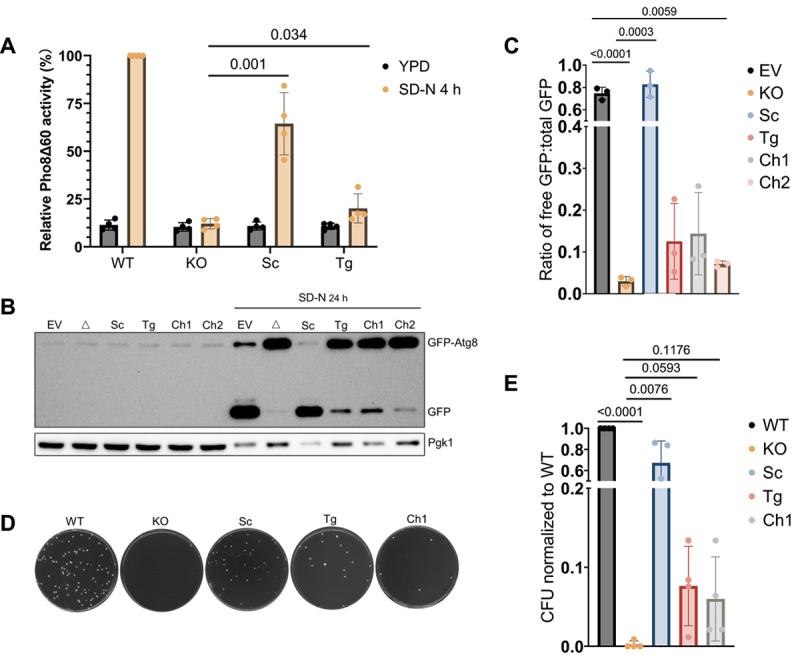 https://cdn.ncbi.nlm.nih.gov/pmc/blobs/8b73/11864645/5fcbbf9b7a4f/KAUO_A_2418256_F0002_OC.jpg