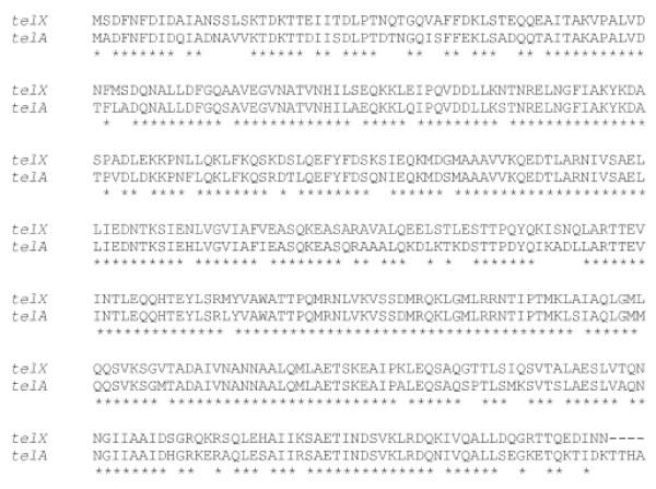 https://cdn.ncbi.nlm.nih.gov/pmc/blobs/8b75/2387161/588053b51abe/1471-2180-8-67-7.jpg