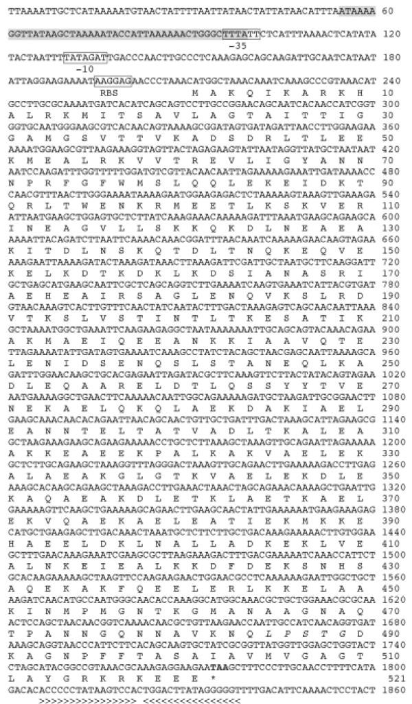 https://cdn.ncbi.nlm.nih.gov/pmc/blobs/8b75/2387161/5bf8ea9b3cd3/1471-2180-8-67-5.jpg