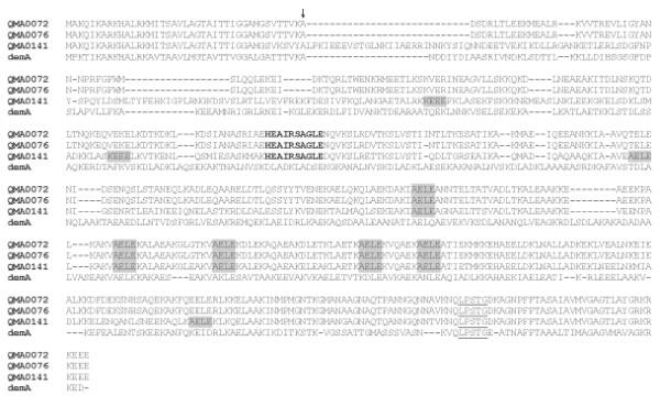 https://cdn.ncbi.nlm.nih.gov/pmc/blobs/8b75/2387161/82ab8083c5c4/1471-2180-8-67-4.jpg