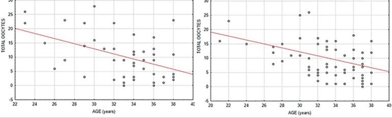 https://cdn.ncbi.nlm.nih.gov/pmc/blobs/8b75/8083849/6086601c841f/jbra-25-02-0246-g01.jpg