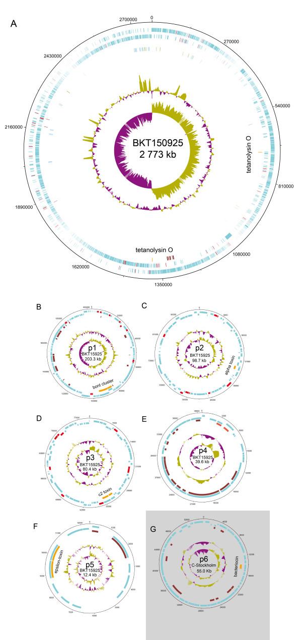 https://cdn.ncbi.nlm.nih.gov/pmc/blobs/8b78/3098183/1a10a73d7979/1471-2164-12-185-1.jpg