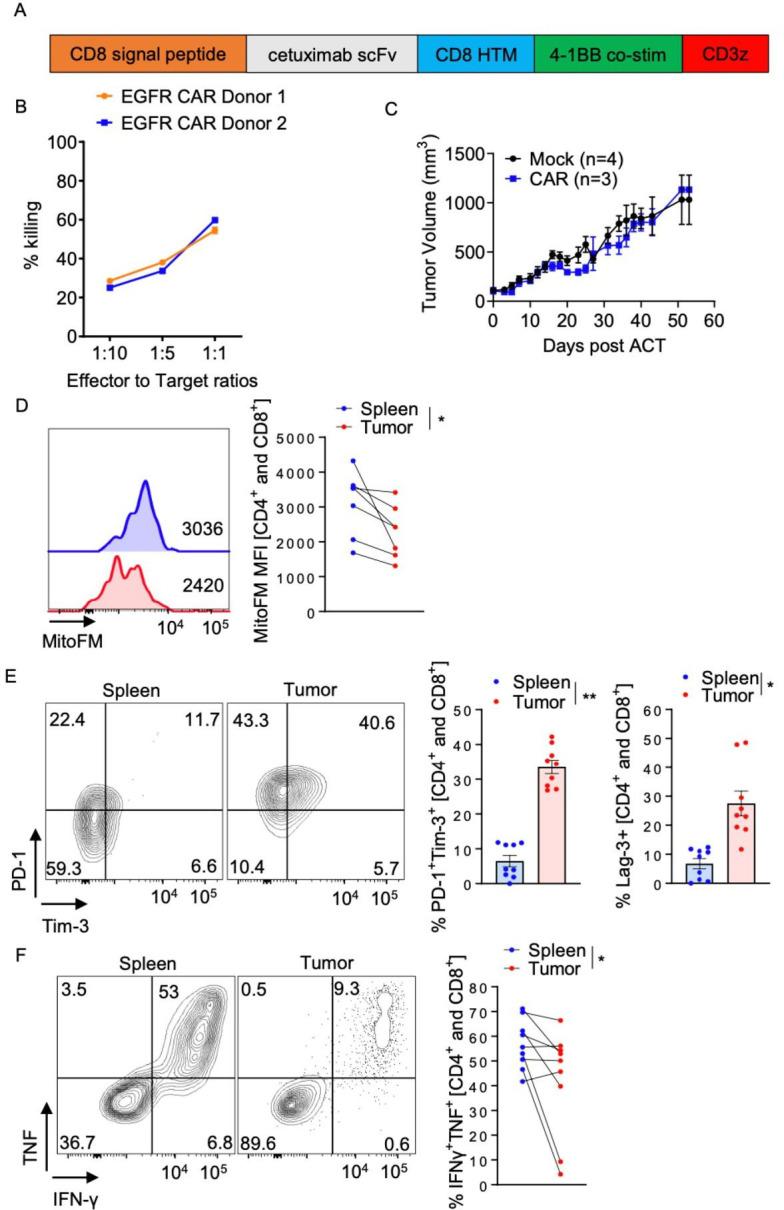 https://cdn.ncbi.nlm.nih.gov/pmc/blobs/8b7c/10016249/47fbf4315633/jitc-2022-006522f01.jpg