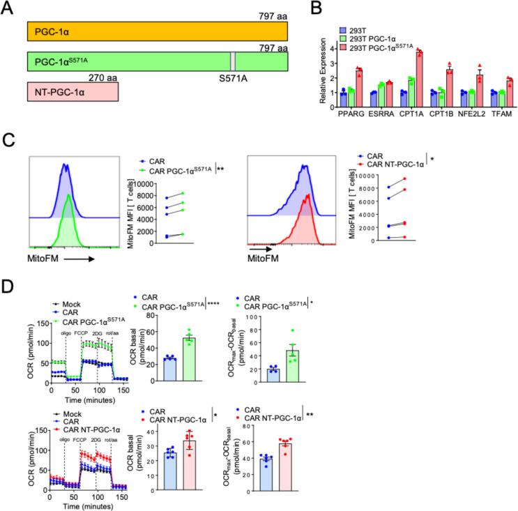 https://cdn.ncbi.nlm.nih.gov/pmc/blobs/8b7c/10016249/586a50240f87/jitc-2022-006522f02.jpg