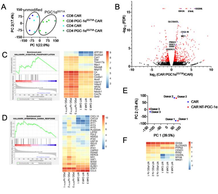 https://cdn.ncbi.nlm.nih.gov/pmc/blobs/8b7c/10016249/e03e332bee48/jitc-2022-006522f03.jpg