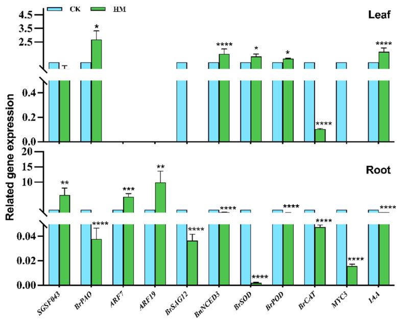 https://cdn.ncbi.nlm.nih.gov/pmc/blobs/8b7c/11722606/4f24ccfb50d7/plants-14-00058-g005.jpg
