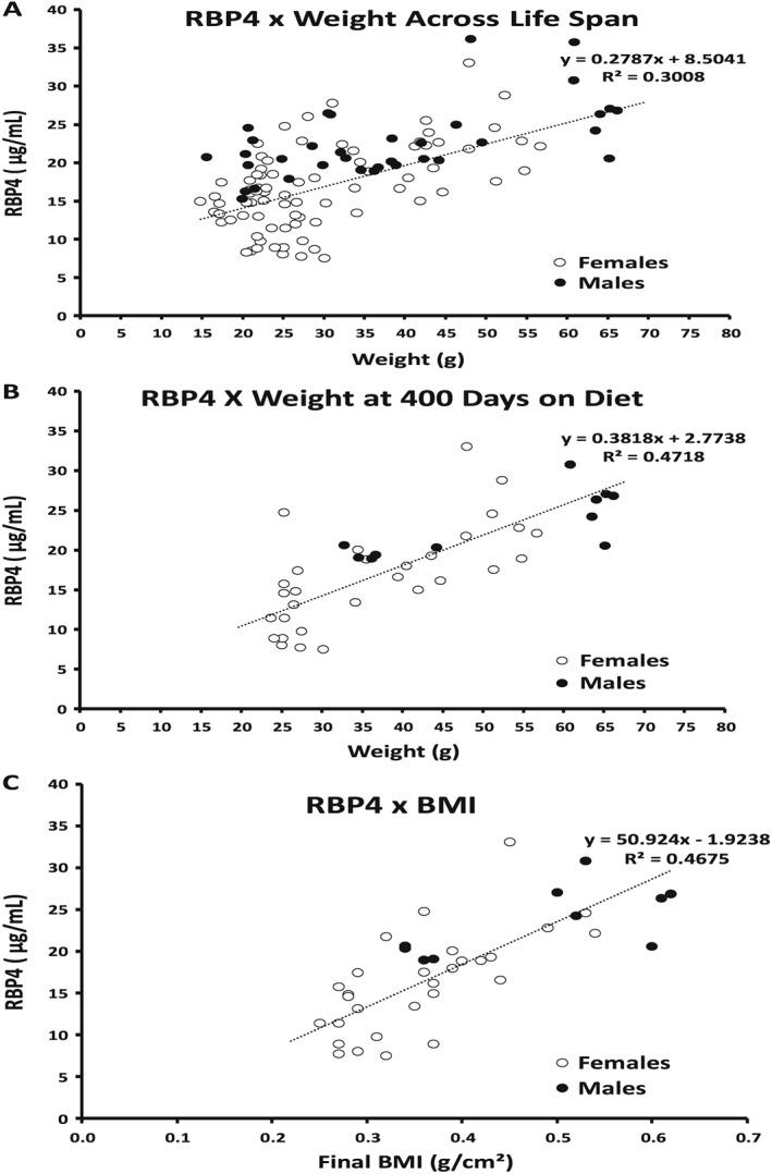 https://cdn.ncbi.nlm.nih.gov/pmc/blobs/8b7c/6298211/d319471dac60/OSP4-4-526-g001.jpg