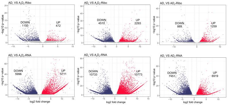 https://cdn.ncbi.nlm.nih.gov/pmc/blobs/8b7d/11431062/db8b0f909456/genes-15-01130-g002.jpg