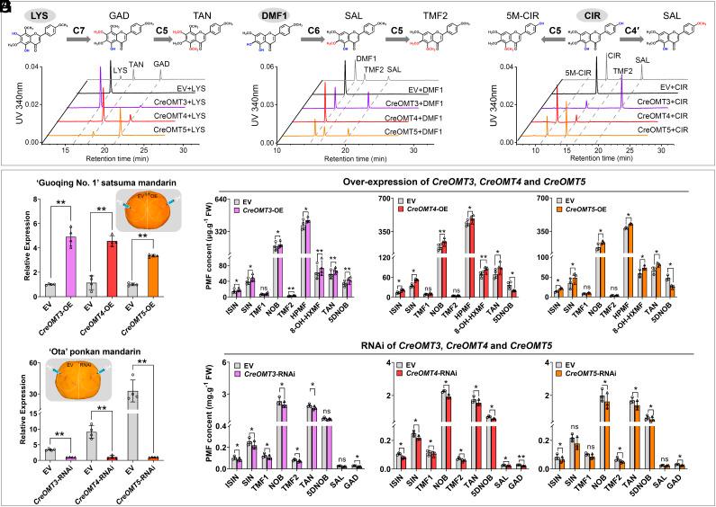 https://cdn.ncbi.nlm.nih.gov/pmc/blobs/8b7e/10998556/199d47b42728/pnas.2321615121fig03.jpg