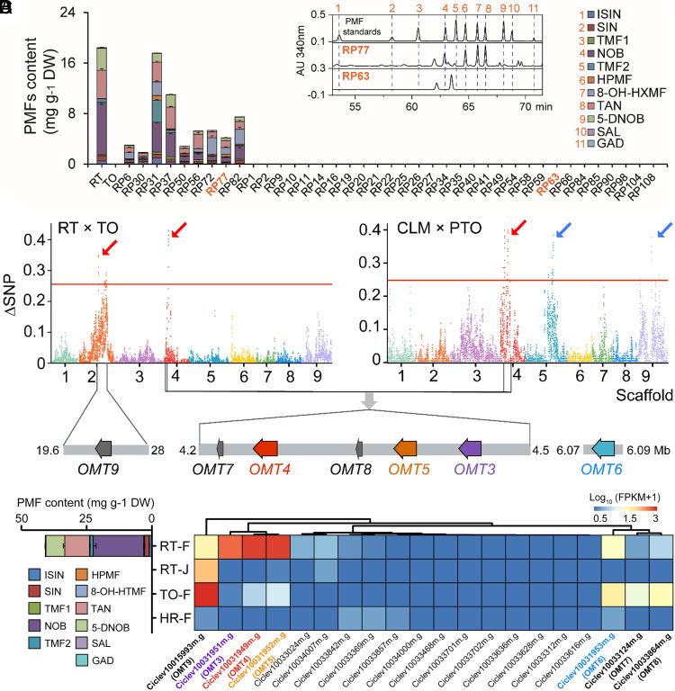 https://cdn.ncbi.nlm.nih.gov/pmc/blobs/8b7e/10998556/78dff942b9dd/pnas.2321615121fig02.jpg