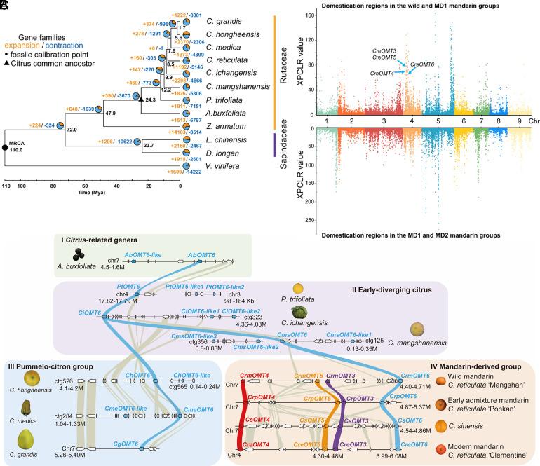 https://cdn.ncbi.nlm.nih.gov/pmc/blobs/8b7e/10998556/df23029b8d02/pnas.2321615121fig04.jpg