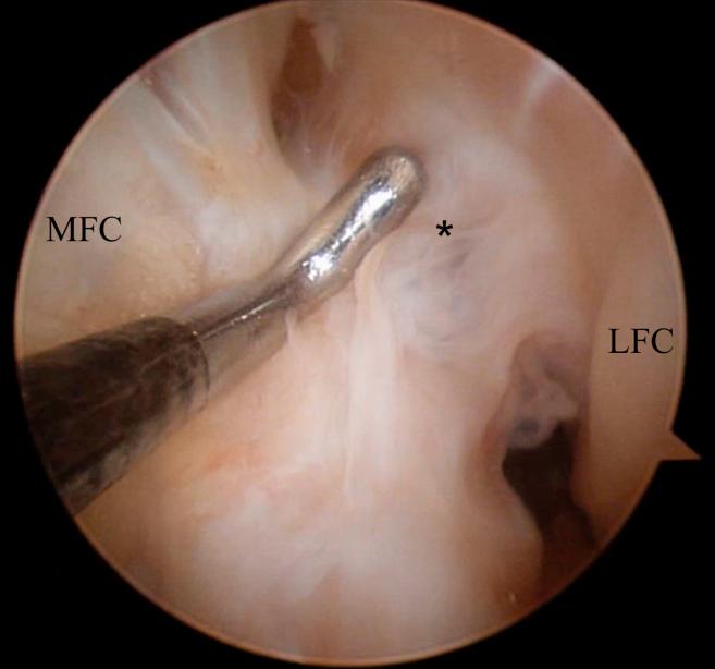 https://cdn.ncbi.nlm.nih.gov/pmc/blobs/8b7f/6993482/522c01547690/gr1.jpg