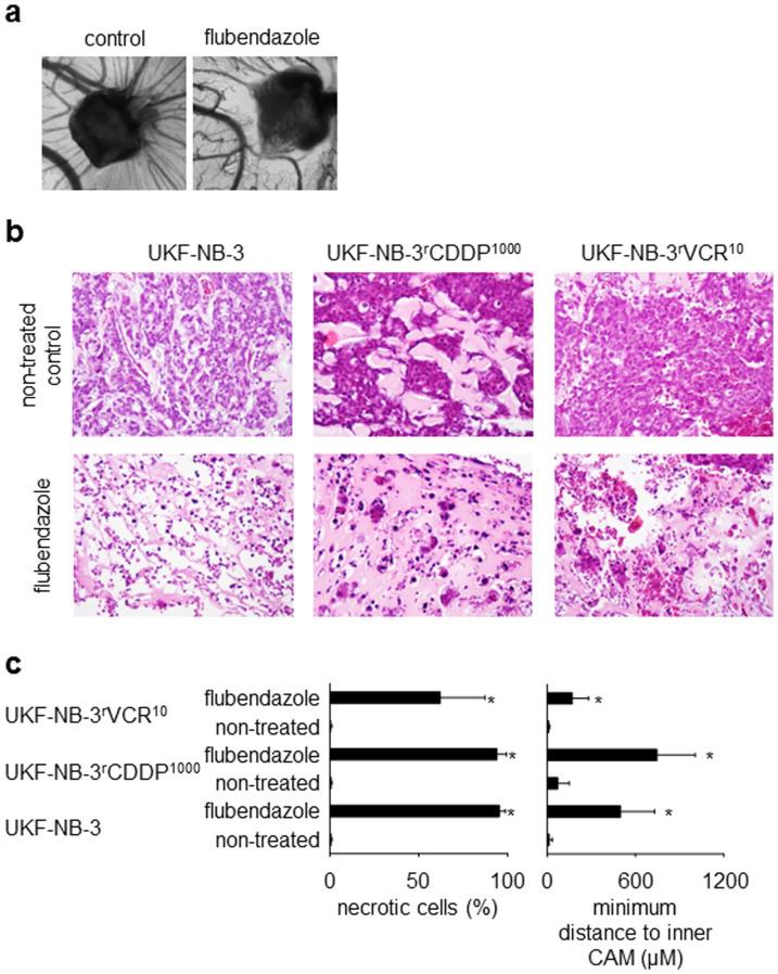 https://cdn.ncbi.nlm.nih.gov/pmc/blobs/8b81/4314641/b6445df11c9b/srep08202-f6.jpg