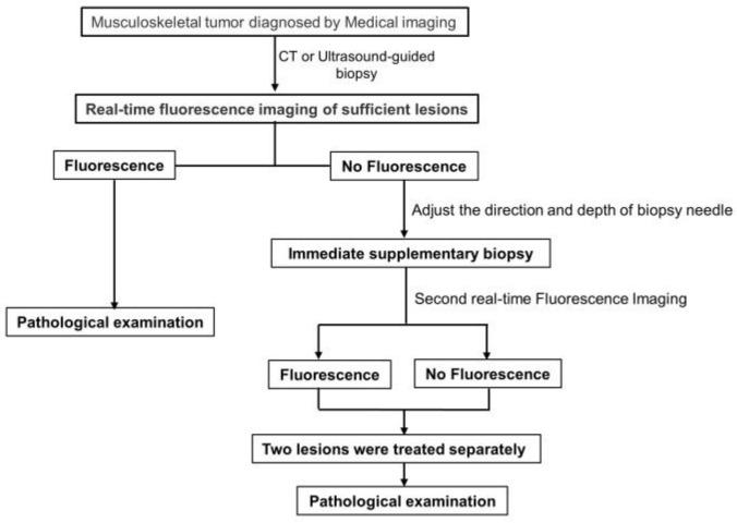 https://cdn.ncbi.nlm.nih.gov/pmc/blobs/8b82/10136962/a6797a2621b9/cancers-15-02402-g001.jpg