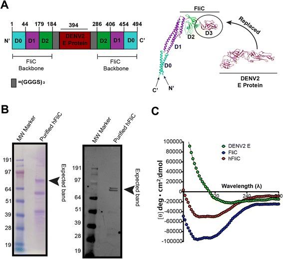 https://cdn.ncbi.nlm.nih.gov/pmc/blobs/8b84/4534063/af077b35b96a/12896_2015_194_Fig1_HTML.jpg