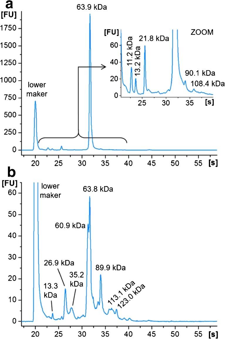 https://cdn.ncbi.nlm.nih.gov/pmc/blobs/8b84/5670189/d619955d9292/216_2017_615_Fig4_HTML.jpg