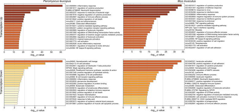 https://cdn.ncbi.nlm.nih.gov/pmc/blobs/8b86/10945503/a0e55c1ee2fc/elife-90135-fig3.jpg
