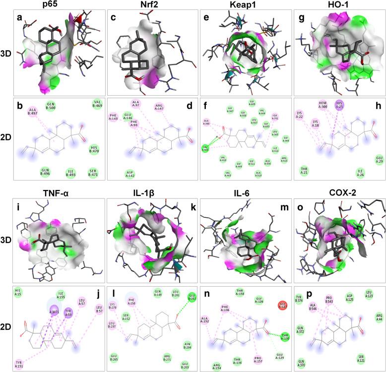 https://cdn.ncbi.nlm.nih.gov/pmc/blobs/8b86/7687815/cbf16e1c0965/40360_2020_458_Fig7_HTML.jpg