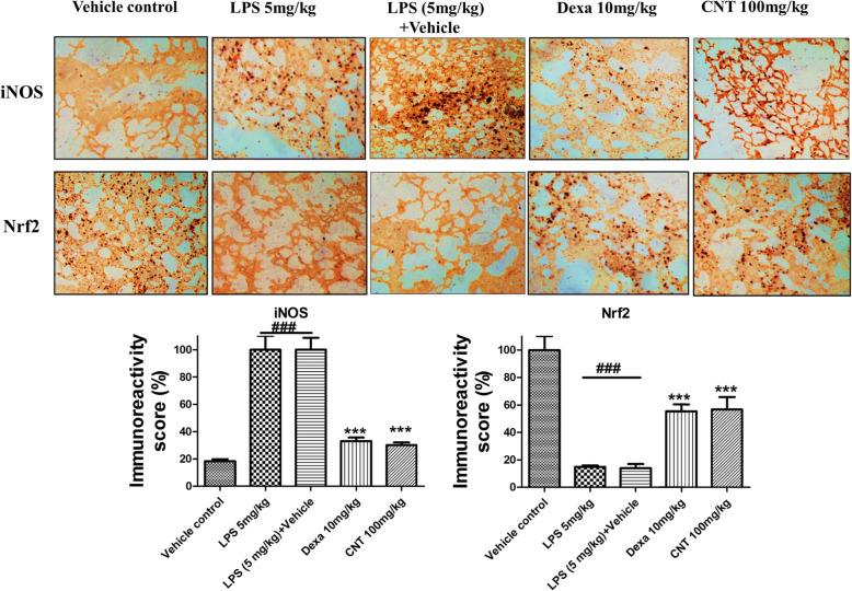 https://cdn.ncbi.nlm.nih.gov/pmc/blobs/8b86/7687815/d4be7fb56b5e/40360_2020_458_Fig6_HTML.jpg