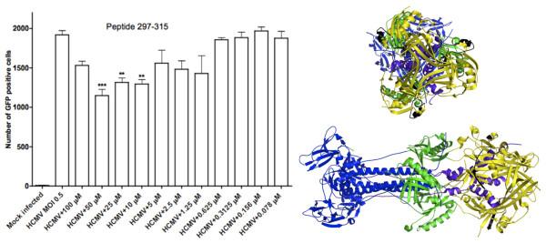 https://cdn.ncbi.nlm.nih.gov/pmc/blobs/8b87/3050824/5d84e4d208f5/1743-422X-8-76-6.jpg