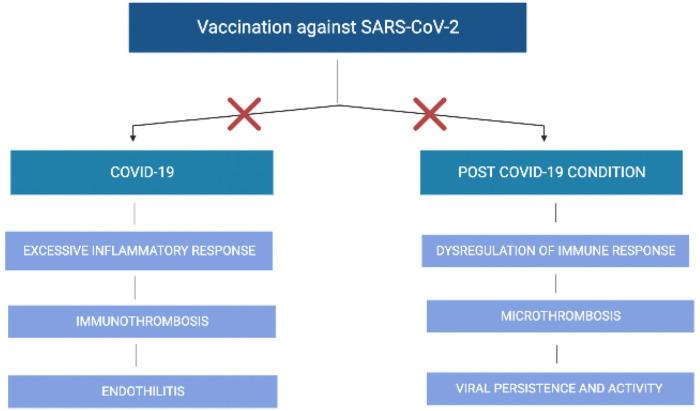 https://cdn.ncbi.nlm.nih.gov/pmc/blobs/8b87/9785763/1ef32f08bdf9/life-12-02057-g001.jpg