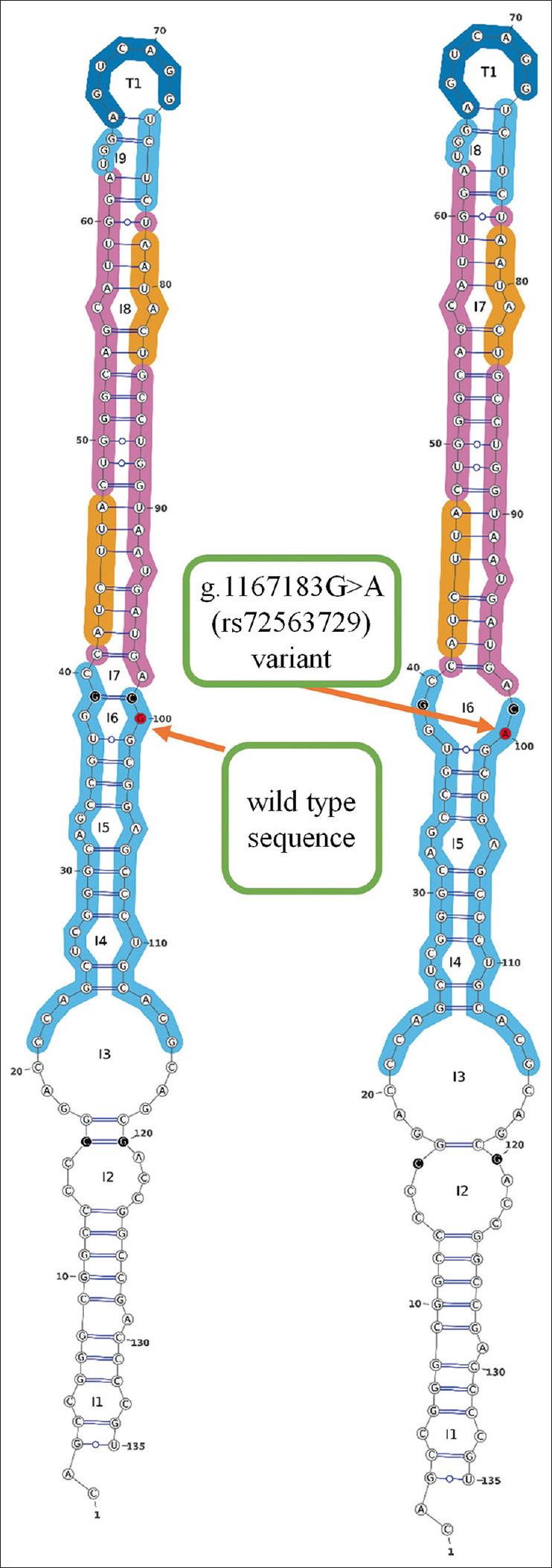 https://cdn.ncbi.nlm.nih.gov/pmc/blobs/8b8a/11392297/cc7cbb8796da/JCO-35-355-g002.jpg