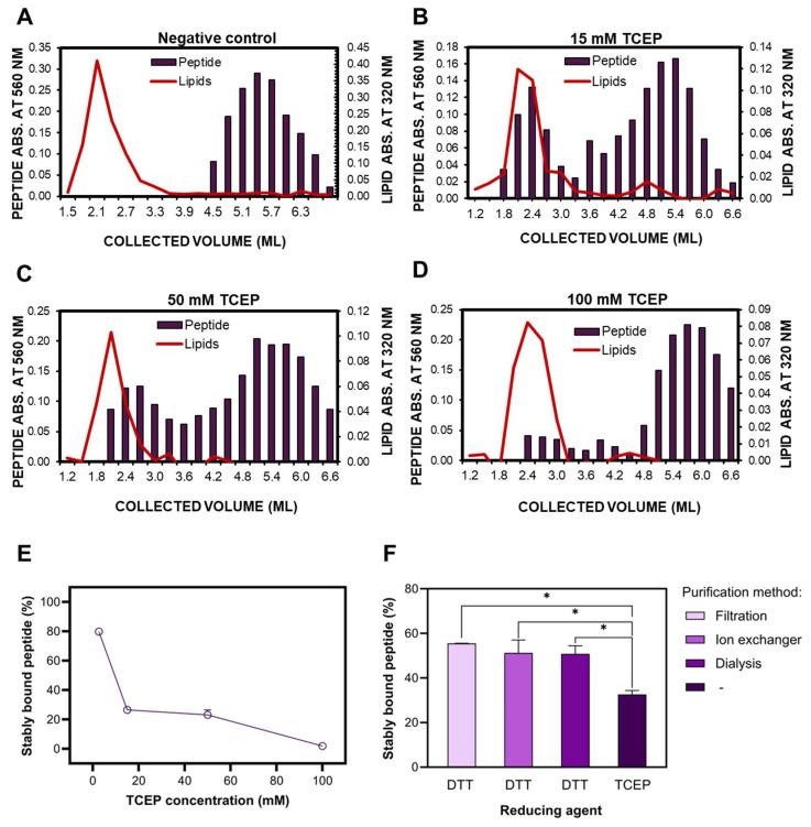 https://cdn.ncbi.nlm.nih.gov/pmc/blobs/8b8a/11855074/980dc1b04e0e/ijms-26-01629-g011.jpg
