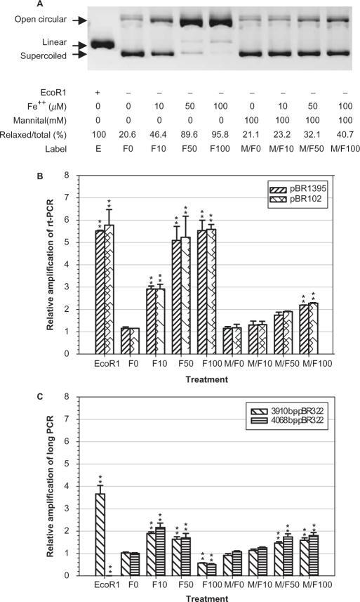 https://cdn.ncbi.nlm.nih.gov/pmc/blobs/8b8a/1851651/00151fac5360/gkm010f2.jpg