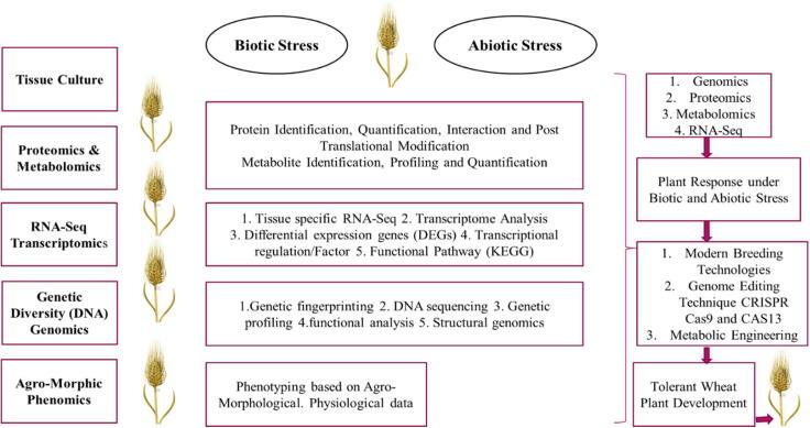 https://cdn.ncbi.nlm.nih.gov/pmc/blobs/8b8d/7878716/198ecd338727/gr2.jpg