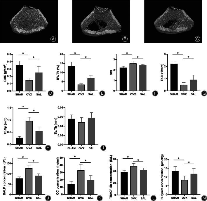 https://cdn.ncbi.nlm.nih.gov/pmc/blobs/8b8f/9483047/8e7e52b1444f/OS-14-2330-g003.jpg