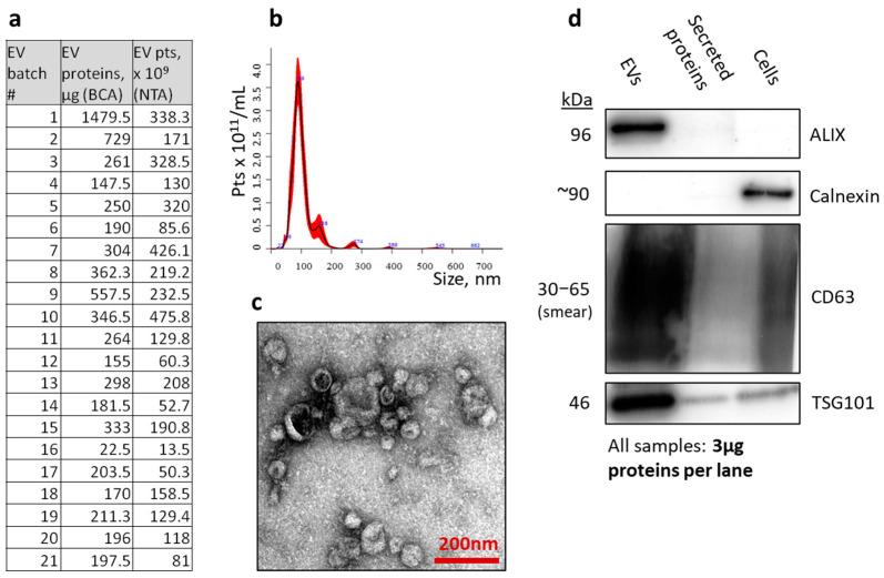 https://cdn.ncbi.nlm.nih.gov/pmc/blobs/8b90/11678796/6dbbf70958dc/polymers-16-03579-g003.jpg