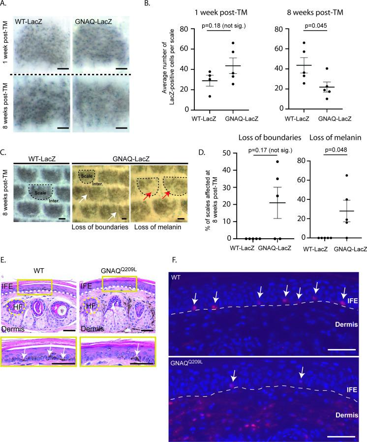 https://cdn.ncbi.nlm.nih.gov/pmc/blobs/8b90/8747508/090f2edc8aaa/elife-71825-fig1.jpg