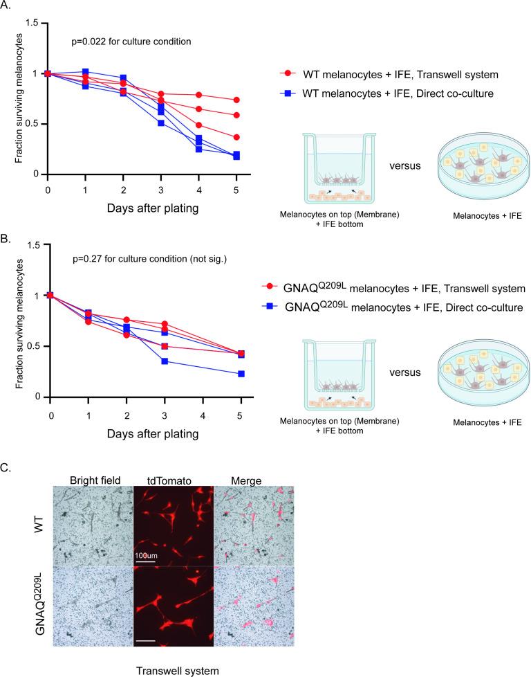 https://cdn.ncbi.nlm.nih.gov/pmc/blobs/8b90/8747508/229b4b0a83eb/elife-71825-fig5.jpg