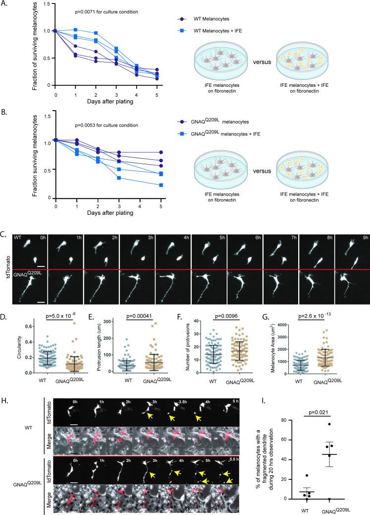 https://cdn.ncbi.nlm.nih.gov/pmc/blobs/8b90/8747508/7fd463101931/elife-71825-fig3.jpg