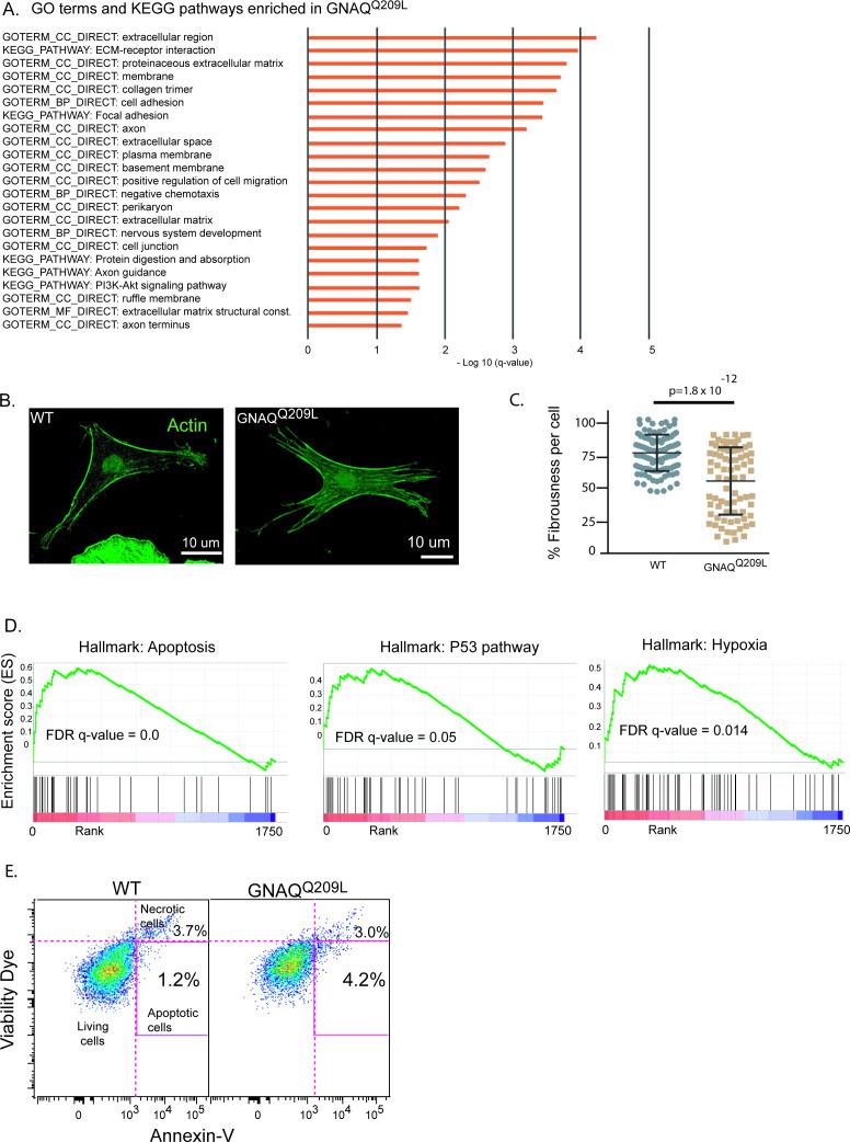 https://cdn.ncbi.nlm.nih.gov/pmc/blobs/8b90/8747508/c5863b7550b8/elife-71825-fig6.jpg