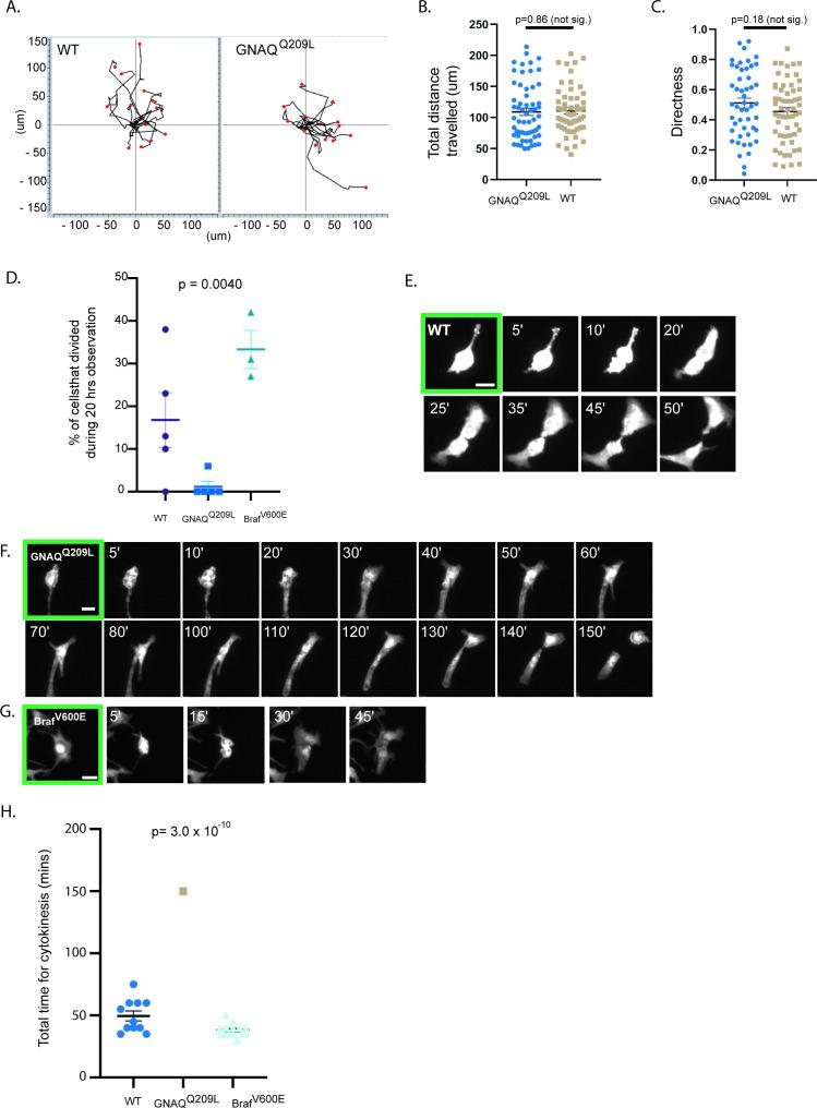 https://cdn.ncbi.nlm.nih.gov/pmc/blobs/8b90/8747508/ca3d258a44dc/elife-71825-fig4.jpg