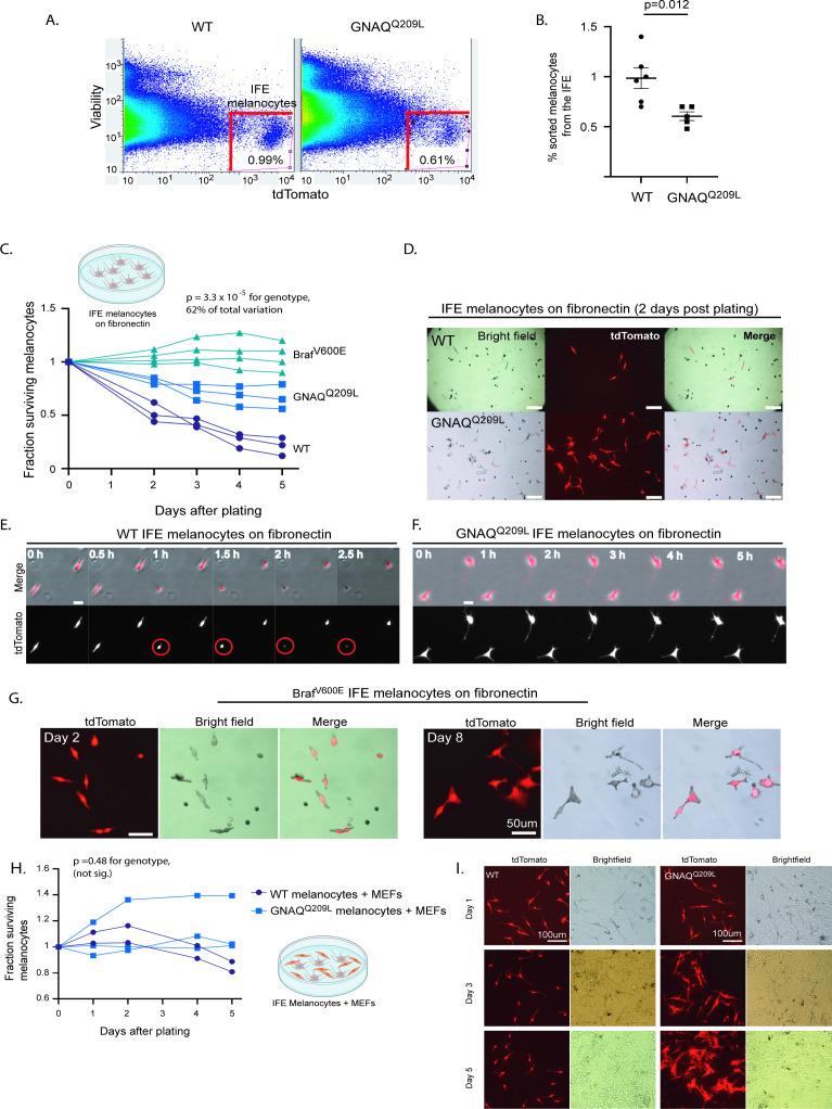 https://cdn.ncbi.nlm.nih.gov/pmc/blobs/8b90/8747508/e5cc4a706e85/elife-71825-fig2.jpg