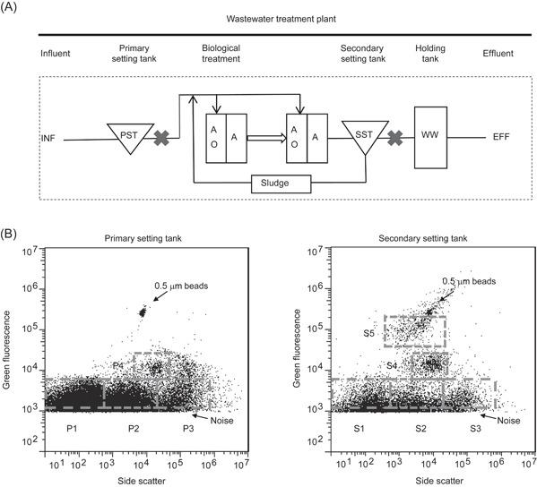 https://cdn.ncbi.nlm.nih.gov/pmc/blobs/8b92/10989988/c358a9c57290/IMT2-1-e39-g004.jpg
