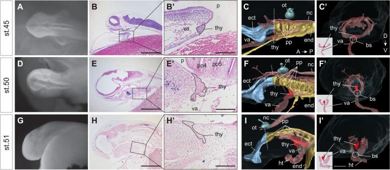 https://cdn.ncbi.nlm.nih.gov/pmc/blobs/8b92/8973611/f016c222a6f9/12915_2022_1282_Fig2_HTML.jpg