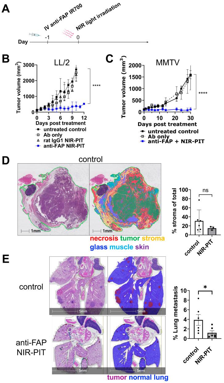 https://cdn.ncbi.nlm.nih.gov/pmc/blobs/8b93/10813865/f3634d975f6a/cancers-16-00449-g003.jpg